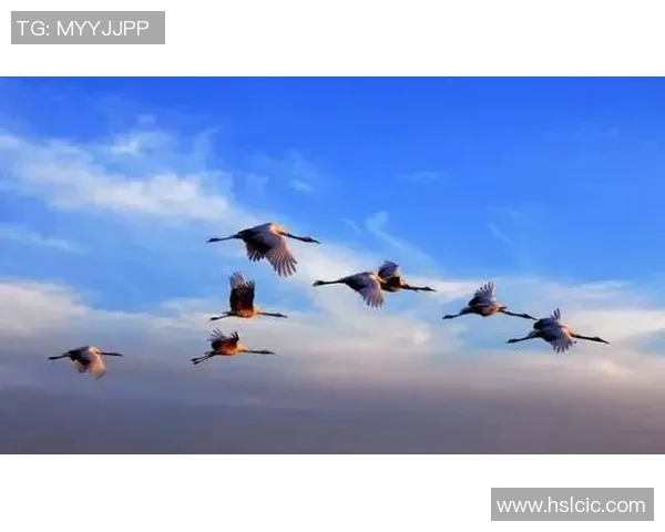 退役足球明星的艰难人生与困境探讨：辉煌背后的孤独与挑战